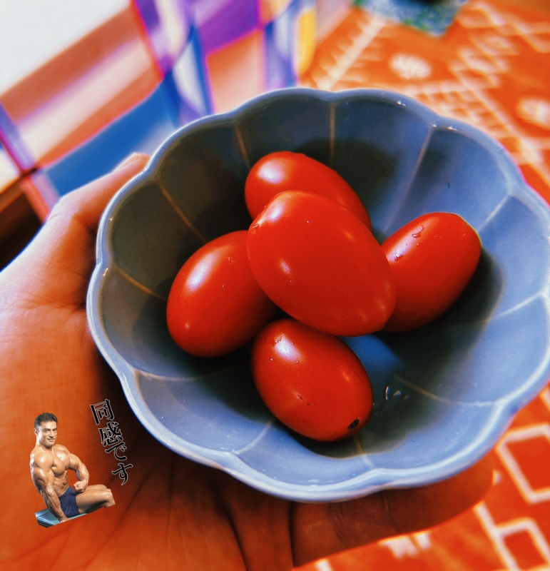 MOCHI（ﾓﾁ） 小さくても。