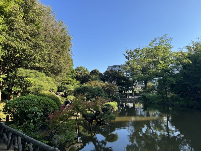 SORA(ソラ) 寄り道⑤😎
