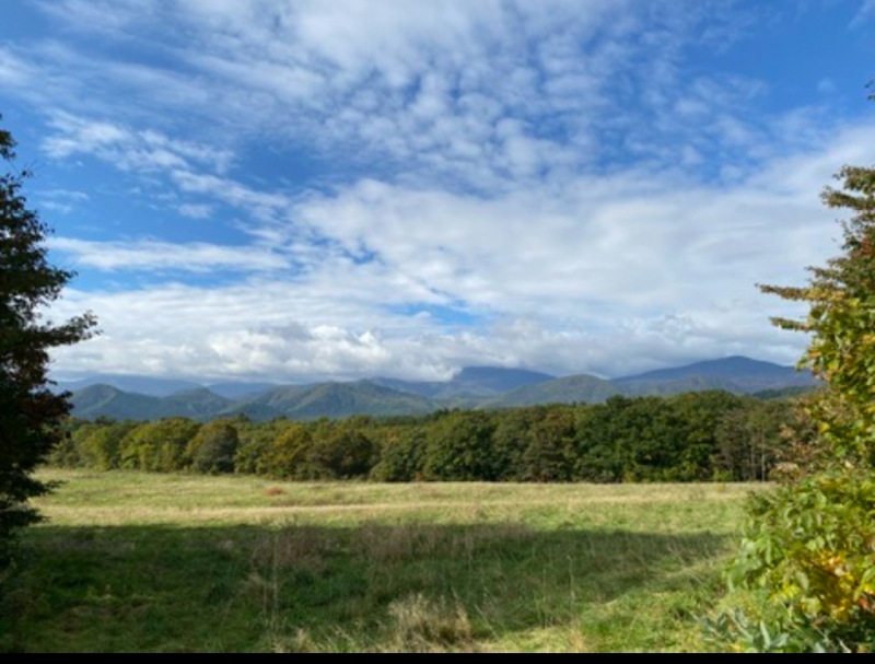 HARUMA(ハルマ) #18「半袖の余韻」