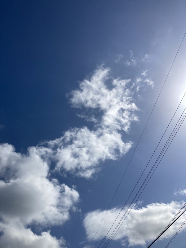 MIRAI(ミライ) 今日は夜から！