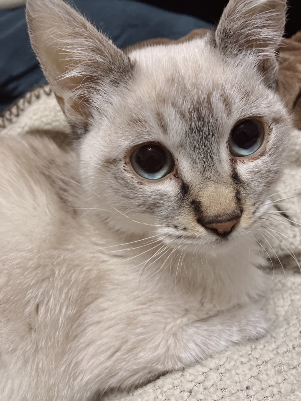 KEISUKE(ｹｲｽｹ) 甘え方って、人それぞれですよね