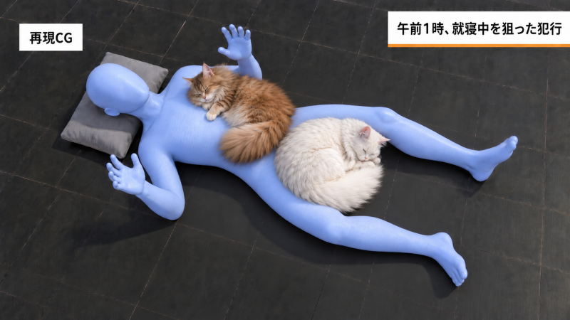 YUUSHI(ﾕｳｼ) 🐈‍⬛寝るときの定位置🐈