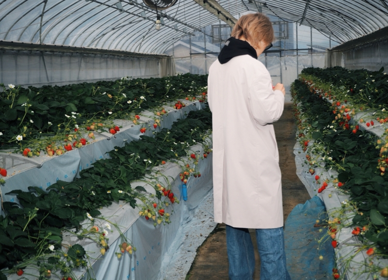 HYO(ヒョウ) いちご狩り🍓