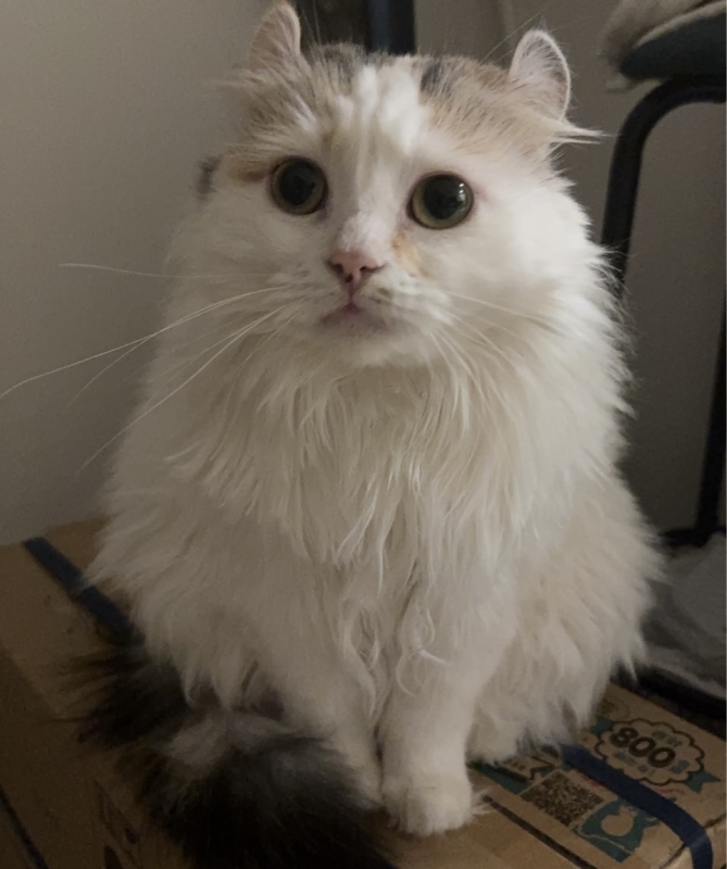 YUMA(ﾕｳﾏ) 何事も遠慮なく！！