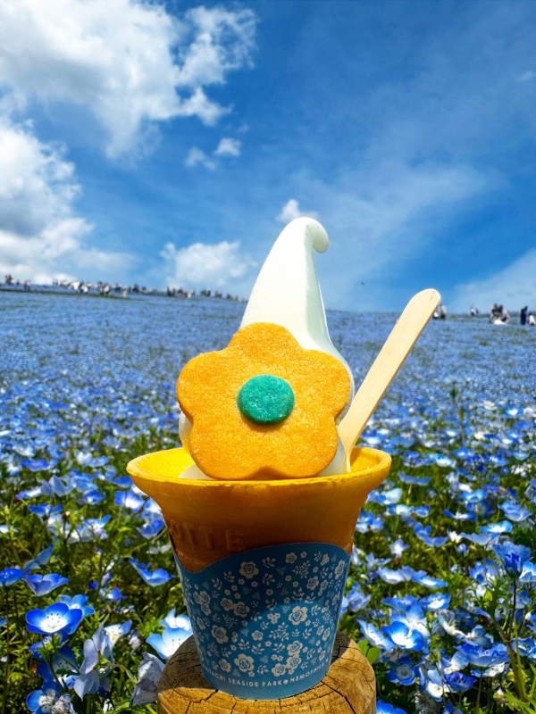 TAKAYA（ﾀｶﾔ） 思い立ったが吉日