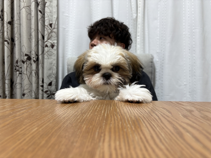 REON(レオン) 出勤!