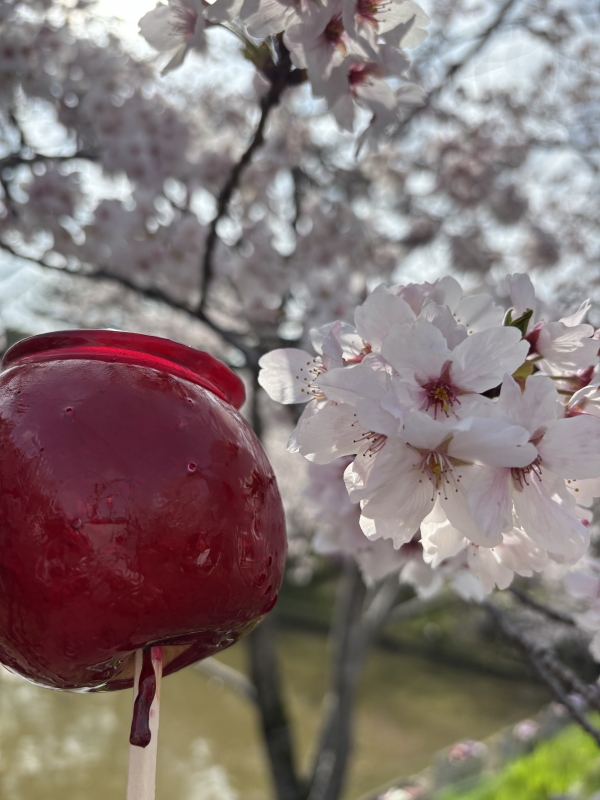 MAKI(マキ) マキの日常