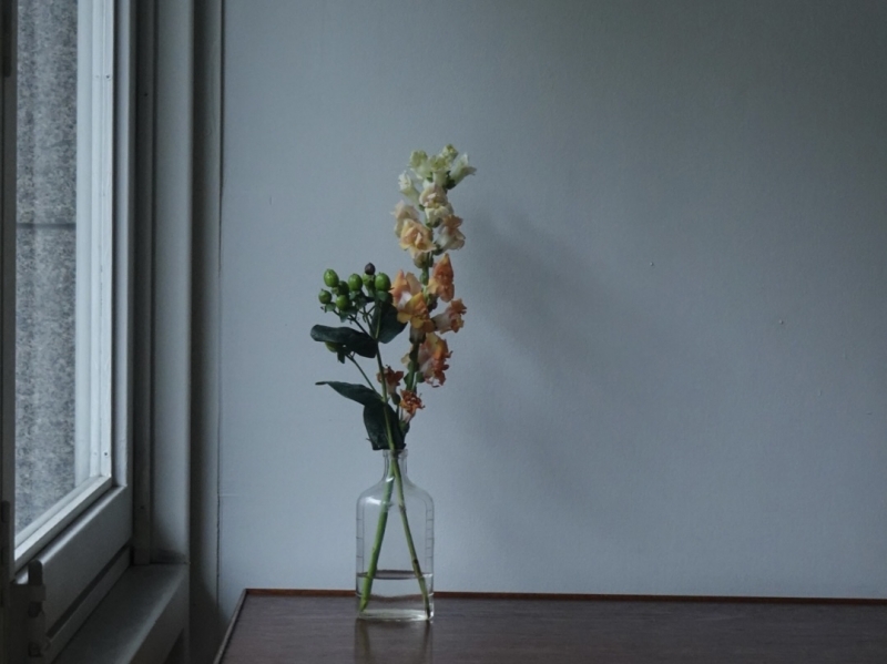 MASH(ﾏｯｼｭ) カメラで撮ってみる、雨の日