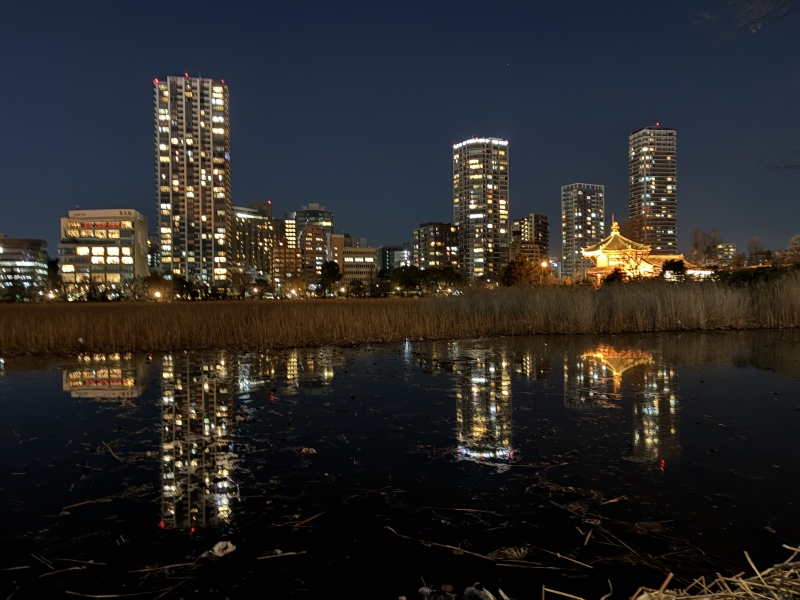 HANZO（ﾊﾝｿﾞｰ） 帰京