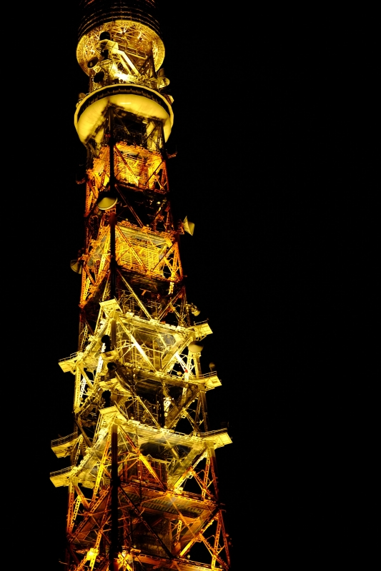 REIJI(ﾚｲｼﾞ) お散歩写真