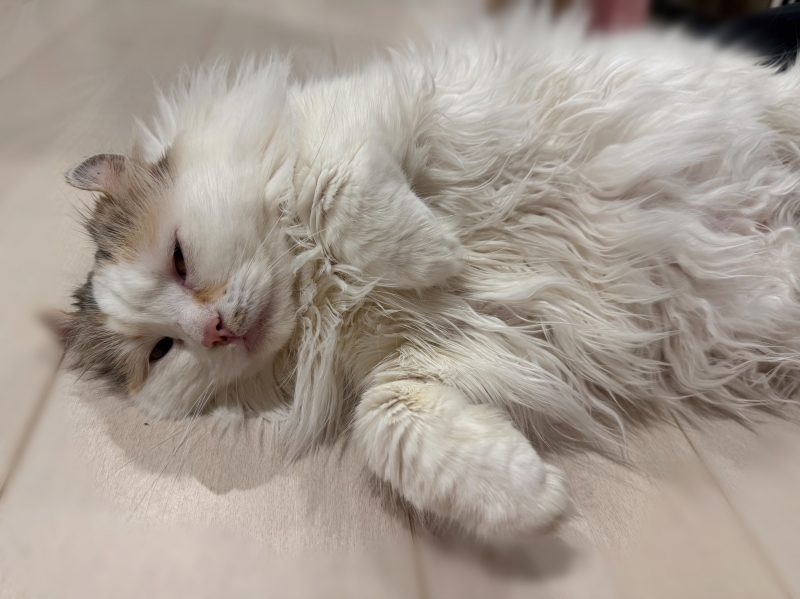 YUMA(ユウマ) 非日常なエロいお時間を!!