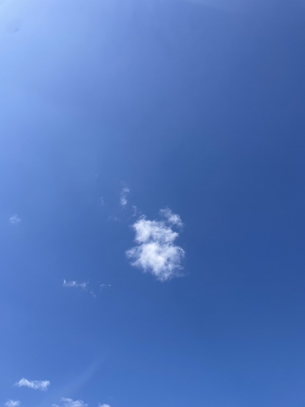 KAORU(カオル) 13時から出勤します🌸