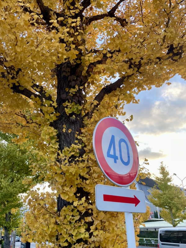 KLUTCH(ｸﾗｯﾁ) 三連休