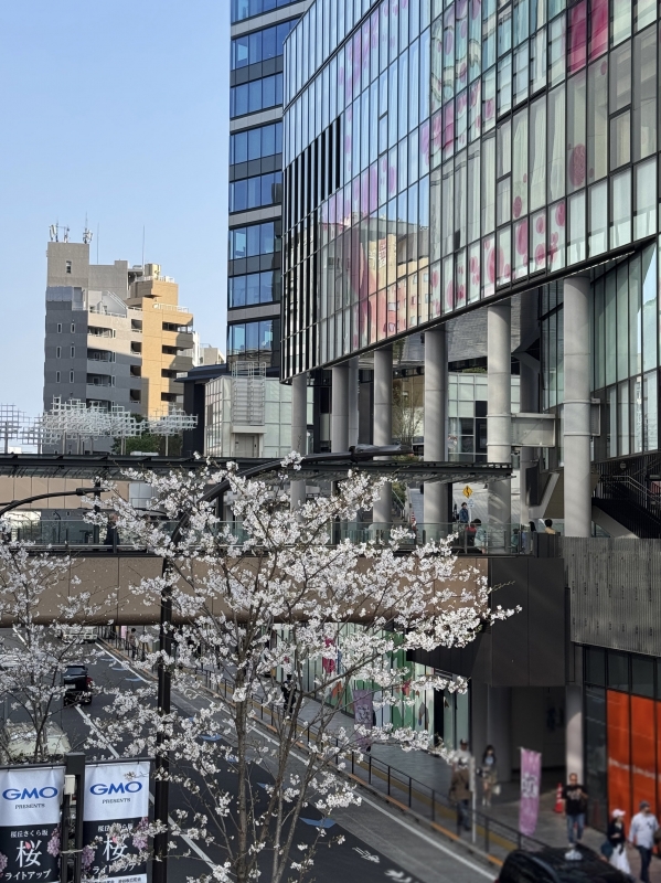 KLUTCH(ｸﾗｯﾁ) 4月のスケジュール