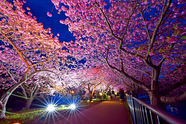 AIMA(アイマ) 【3月の御礼】