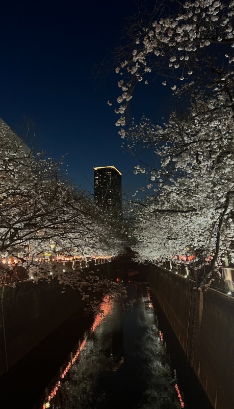 YAMATO(ﾔﾏﾄ) 「写メ日記リレー」〜第二走者〜