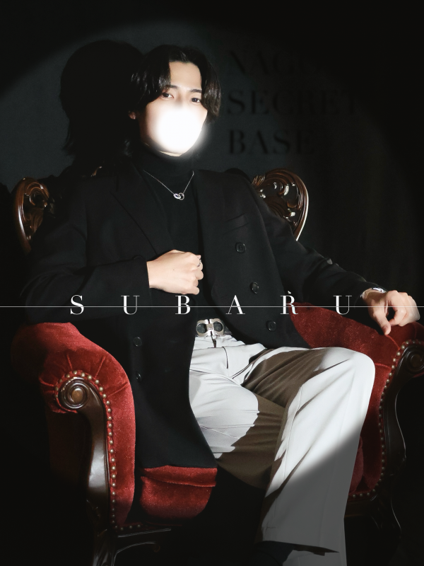 SUBARU(ｽﾊﾞﾙ) お仕事に家事に人間関係に