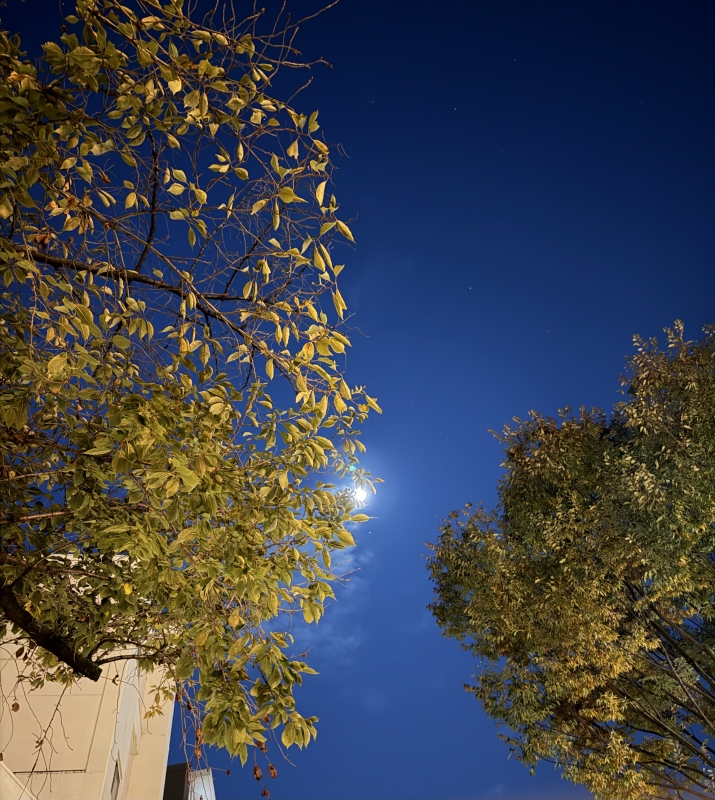 SHINA(ｼﾅ) 月！！！