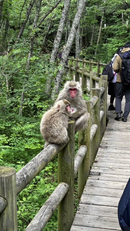 SHINA(ｼｲﾅ) 長野旅行