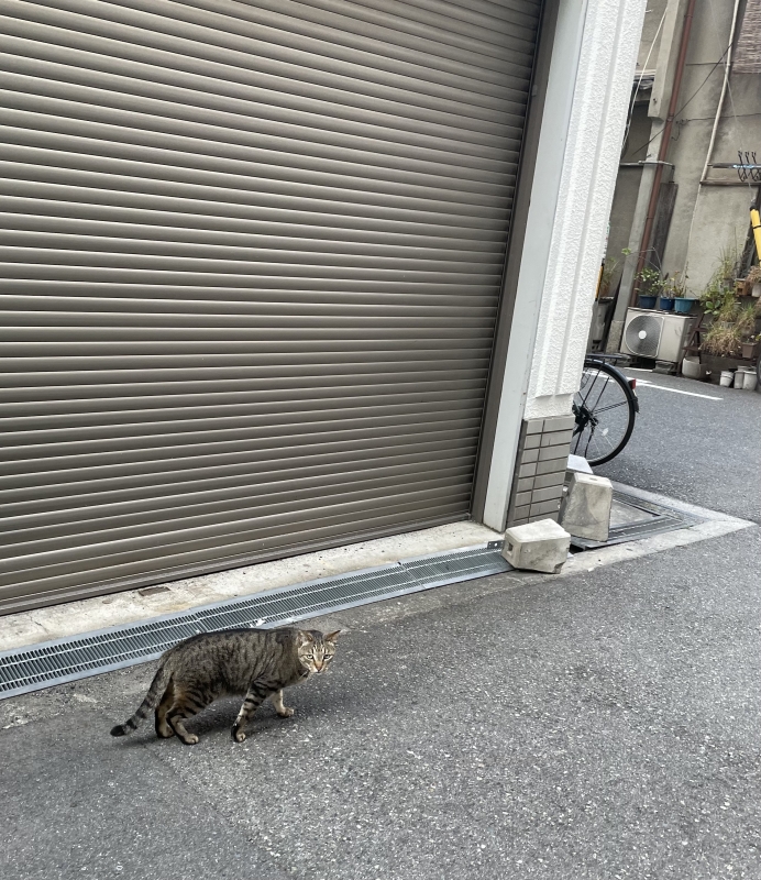 RUI(ﾙｲ) 他人と比較マン