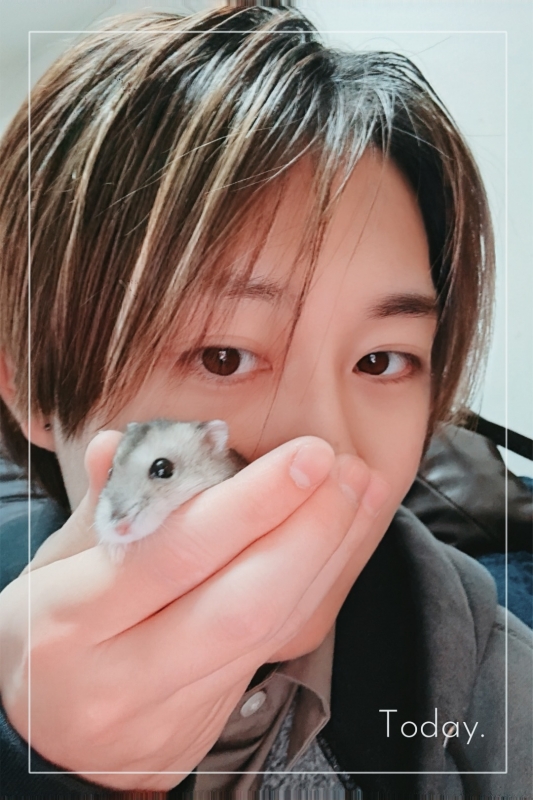 LUCA(ﾙｶ) 大事な家族を紹介します🐹