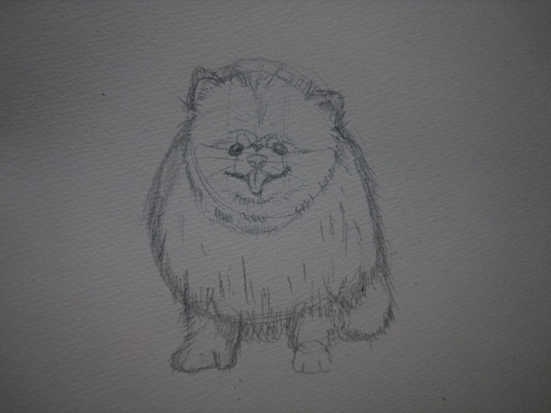 YAK(ﾔｸ) ポメ2