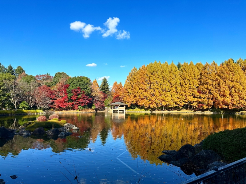 TAKAYA（ﾀｶﾔ） 紅葉♡