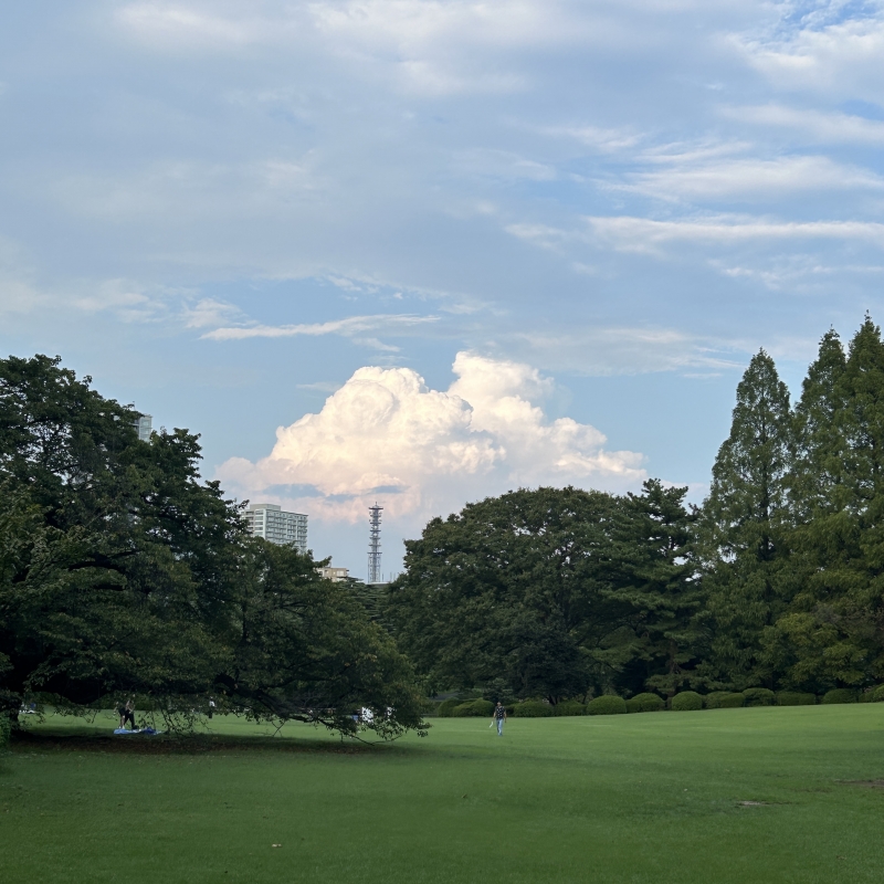 IHARU(イハル) 日曜の青空、余裕を育てる