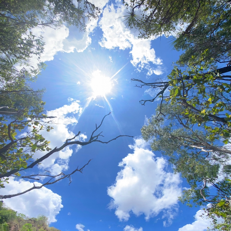 ITSUKI(ｲﾂｷ) 新たな1日の始まり…