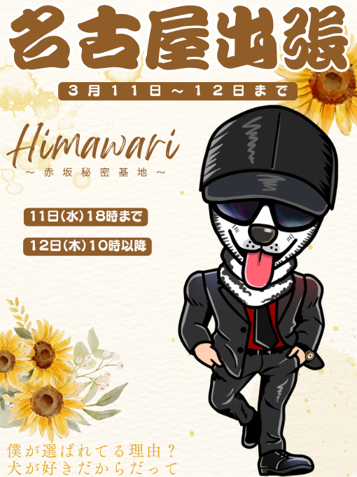HIMAWARI(ﾋﾏﾜﾘ) 名古屋出張します　3/11〜3/12