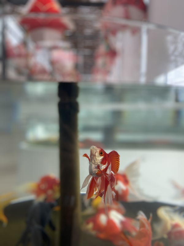 HARUMA(ﾊﾙﾏ) 整体師あるある9