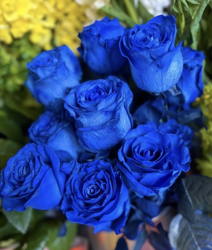 MAKIYA(ﾏｷﾔ) 宿題