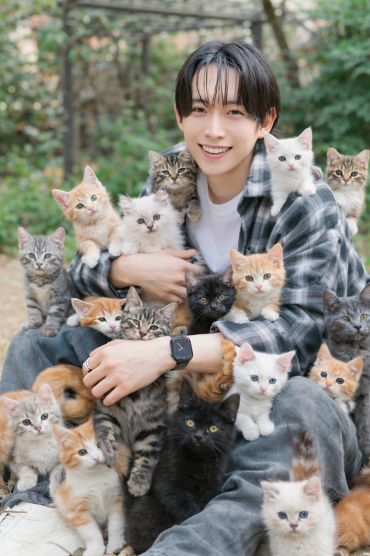 KATSUMI(カツミ) 猫の日