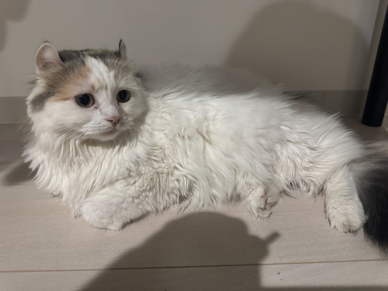 YUMA(ユウマ) 11月もラスト✌️