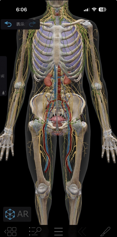 ARASHI(ｱﾗｼ) 【写真に一言】