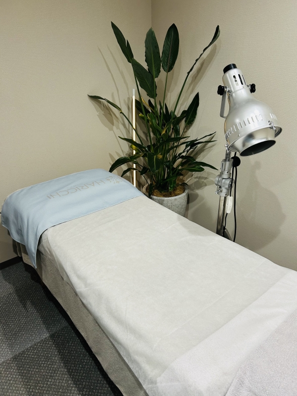 IKUTO(ｲｸﾄ) 美容鍼