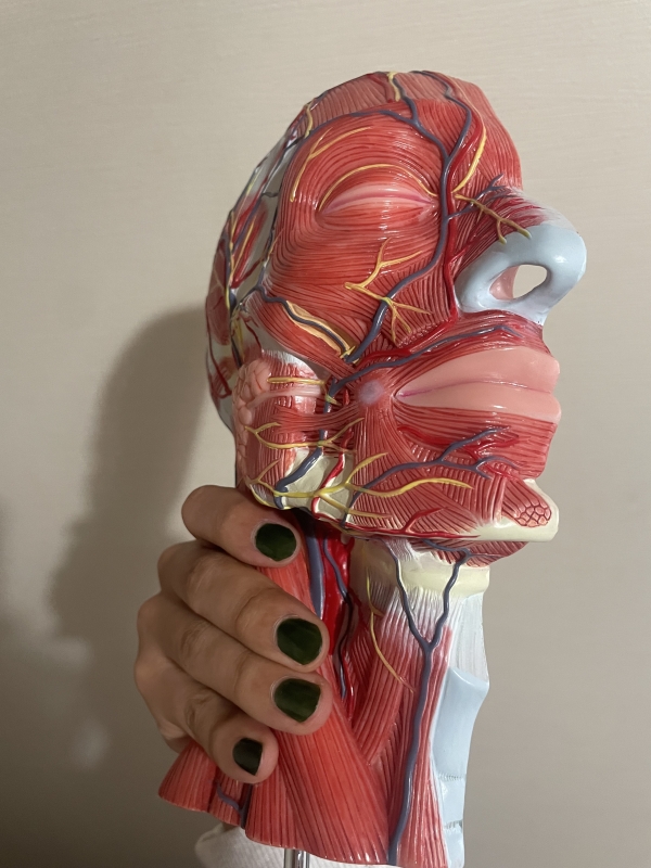 TATSUYA(ﾀﾂﾔ) 胸鎖乳突筋ギュッ！