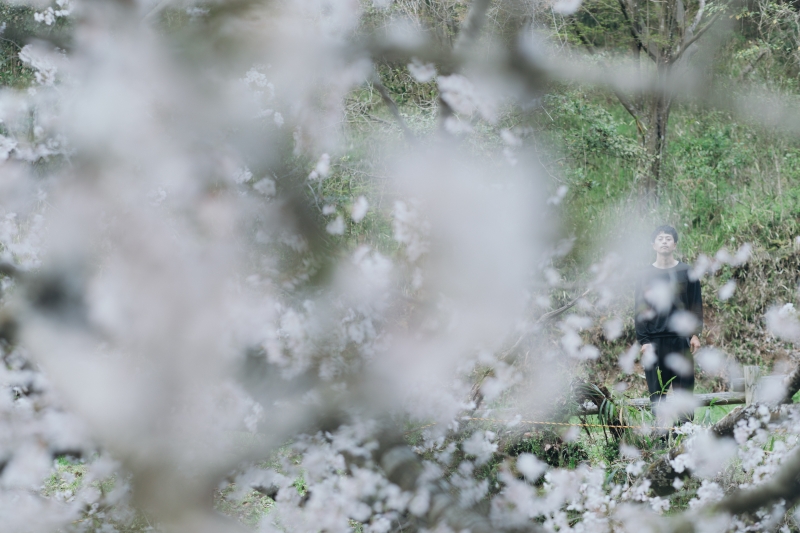 YUUSUKE(ﾕｳｽｹ) 桜咲く