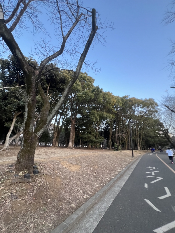 KAZUKI(カズキ) ランニング🏃