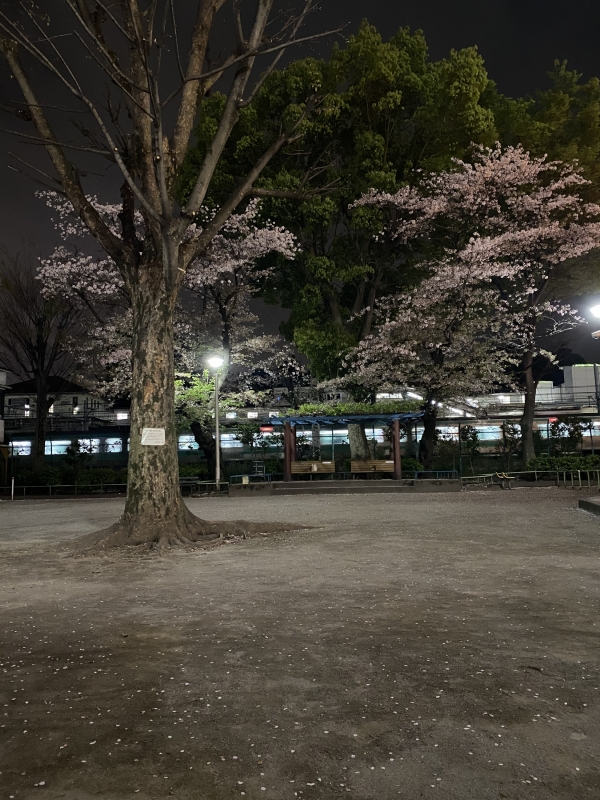 MISAKA(ﾐｻｶ) 今日からイベント