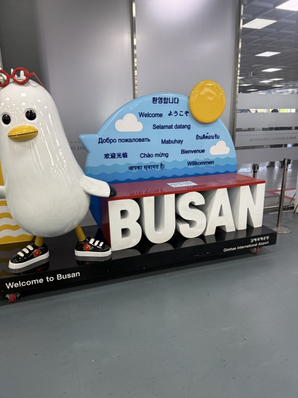 SENA（ｾﾅ） 韓国美容🇰🇷