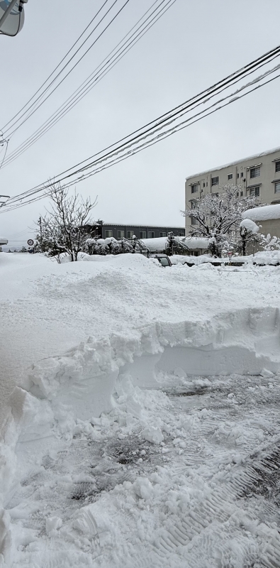 RUI(ルイ) 寒波、、