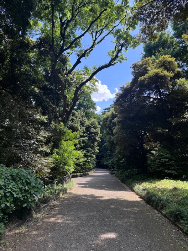 MAMORU(ﾏﾓﾙ) おさんぽ🌳🩵