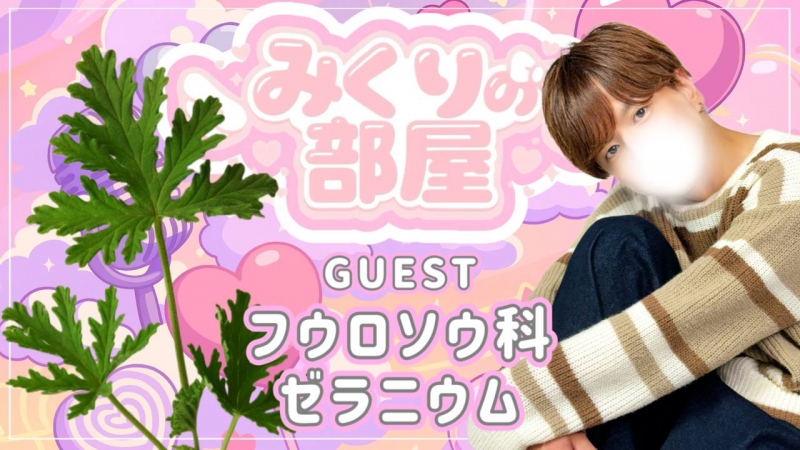 MIKURI(ﾐｸﾘ) 本日の『みくりの部屋』は…