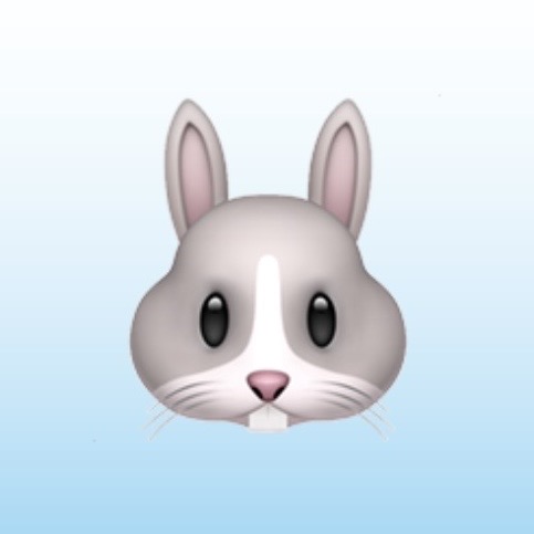 ARARE(アラレ) うさぎの絵文字使いがち
