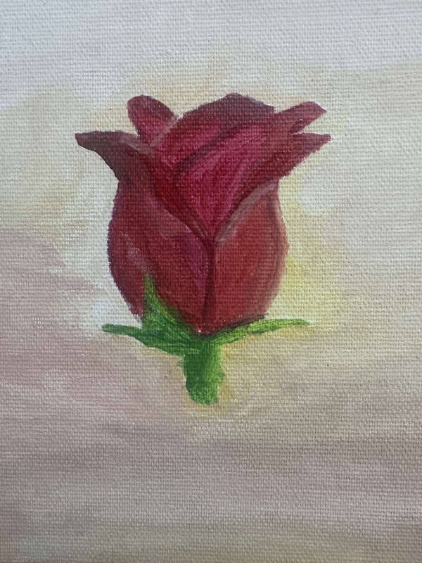 RUKIYA(ﾙｷﾔ) 11月ありがとうございました🌹