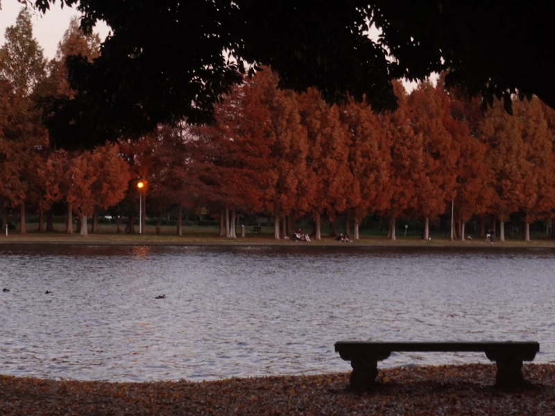 MASH(ﾏｯｼｭ) 水元公園