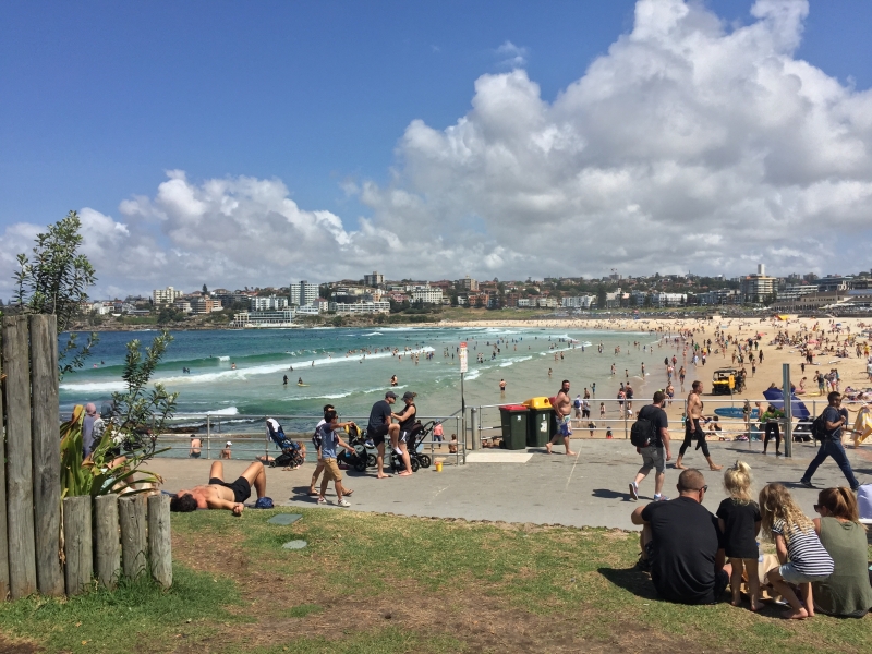 SHINNOSUKE(ｼﾝﾉｽｹ) Happy Merry Christmas 