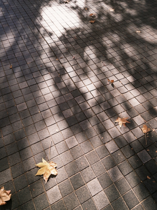 YUZU(ユズ) 3連休