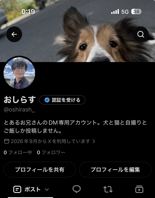 SHIRASH(ｼﾗｽ) 取り急ぎX